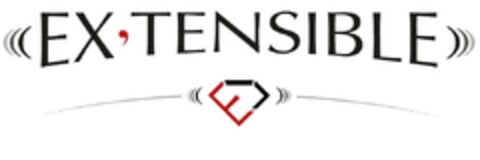 EX ' TENSIBLE E Logo (EUIPO, 02/05/2019)