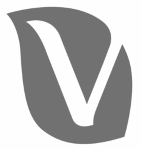 V Logo (EUIPO, 06.09.2021)