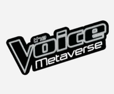 the Voice Metaverse Logo (EUIPO, 11/21/2022)