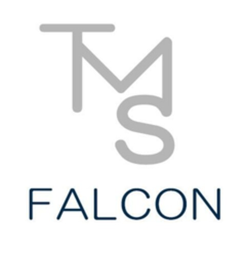 TMS FALCON Logo (EUIPO, 22.12.2023)