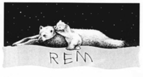 REM Logo (EUIPO, 20.04.2000)