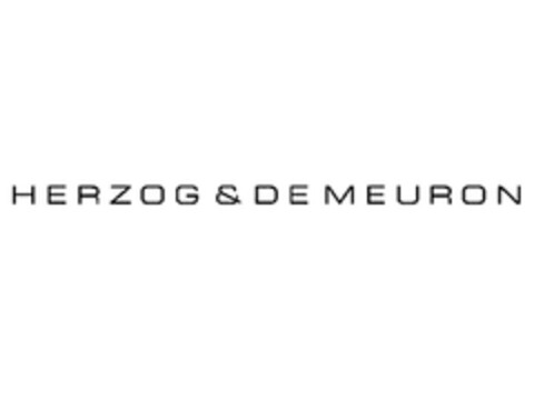 HERZOG & DE MEURON Logo (EUIPO, 10.06.2013)