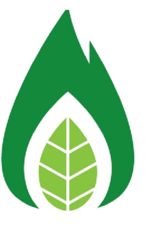  Logo (EUIPO, 05.08.2013)