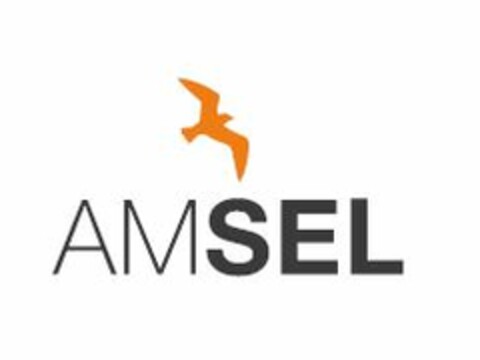 AMSEL Logo (EUIPO, 12/18/2013)