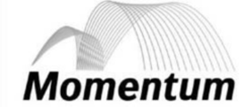 Momentum Logo (EUIPO, 11.08.2021)