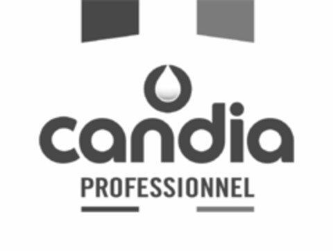 CANDIA PROFESSIONNEL Logo (EUIPO, 26.08.2022)