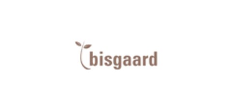 bisgaard Logo (EUIPO, 29.11.2022)