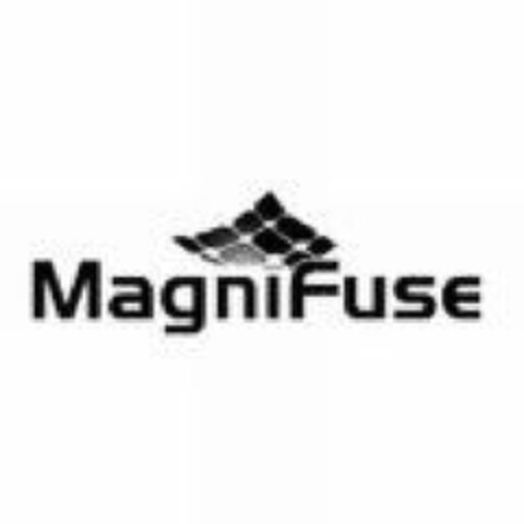 MagniFuse Logo (EUIPO, 09.02.2011)