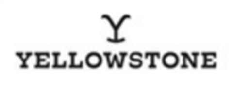Y YELLOWSTONE Logo (EUIPO, 03/06/2020)