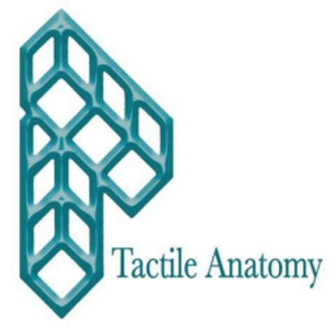 Tactile Anatomy Logo (EUIPO, 10.02.2023)