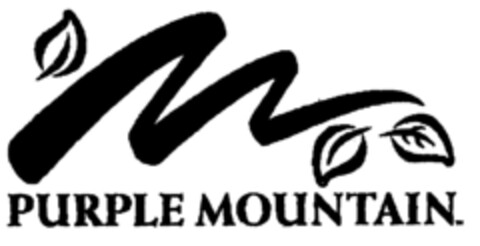 PURPLE MOUNTAIN Logo (EUIPO, 10.09.1999)