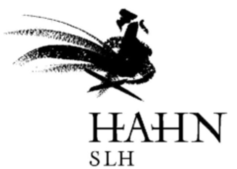 HAHN SLH Logo (EUIPO, 07.08.2008)