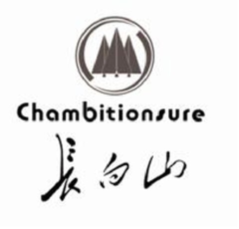 Chambitionsure Logo (EUIPO, 03/04/2010)