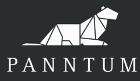 PANNTUM Logo (EUIPO, 17.12.2019)