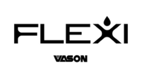 FLEXI VASON Logo (EUIPO, 05/23/2024)