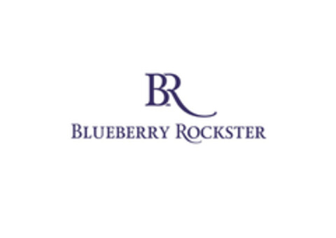 BLUEBERRY ROCKSTER Logo (EUIPO, 24.02.2015)