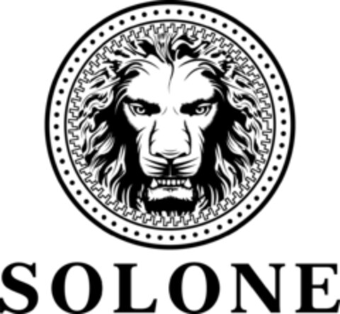 SOLONE Logo (EUIPO, 22.08.2016)