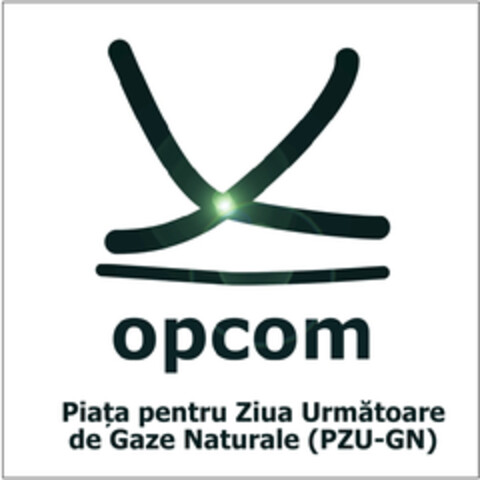 opcom Piața pentru Ziua Următoare de Gaze Naturale (PZU-GN) Logo (EUIPO, 06/18/2019)