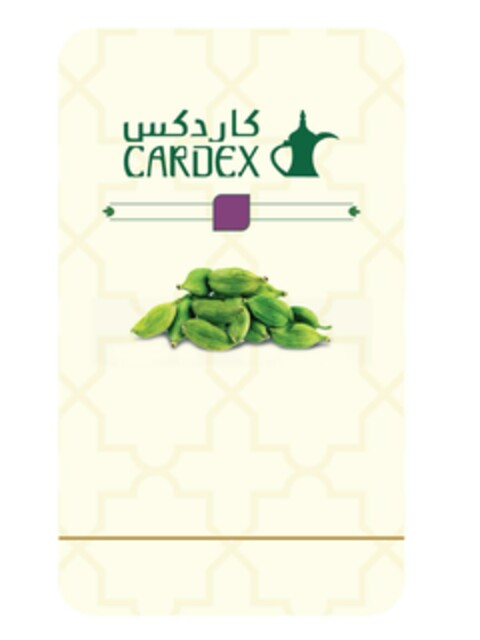 CARDEX Logo (EUIPO, 26.02.2024)
