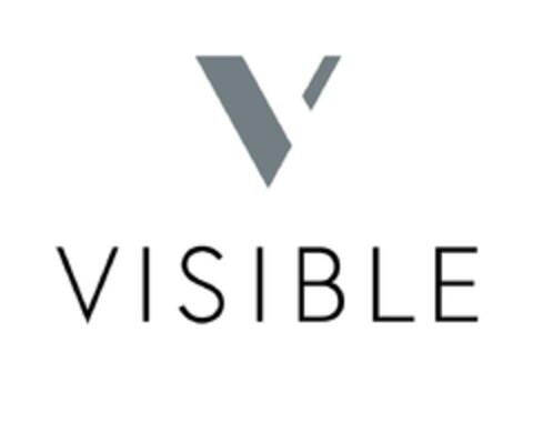 VISIBLE Logo (EUIPO, 03.06.2024)