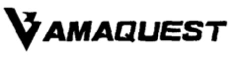 VAMAQUEST Logo (EUIPO, 02.11.1998)