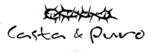 Casta & Puro Logo (EUIPO, 20.12.2002)