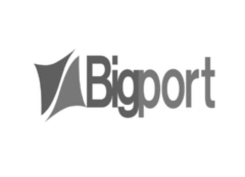 Bigport Logo (EUIPO, 17.11.2004)