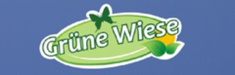 GRÜNE WIESE Logo (EUIPO, 08.05.2013)