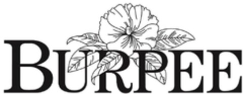 BURPEE Logo (EUIPO, 30.04.2019)