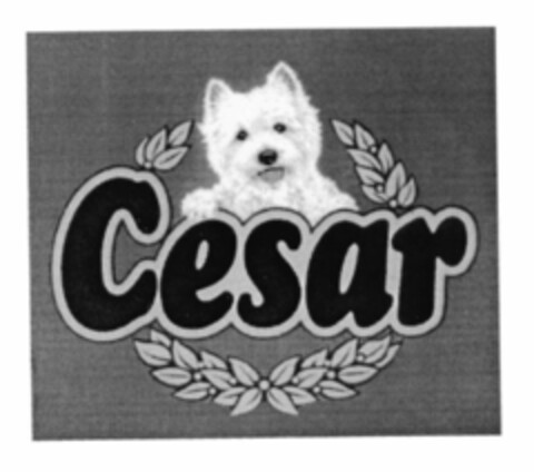 Cesar Logo (EUIPO, 06/13/1997)