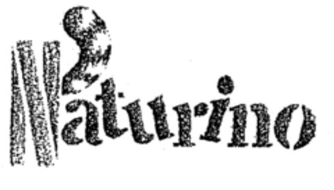 Naturino Logo (EUIPO, 02/28/2000)