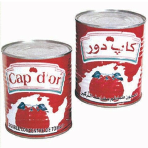 CAP D'OR DOUBLE CONCENTRE DE TOMATE Logo (EUIPO, 23.05.2012)