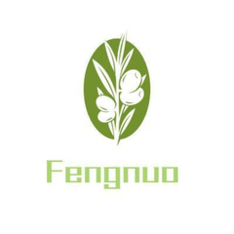 Fengnuo Logo (EUIPO, 08/19/2019)