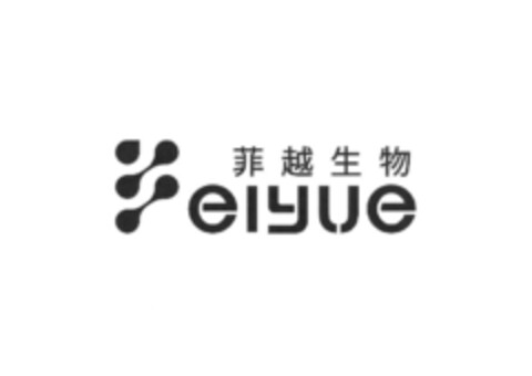 eiyue Logo (EUIPO, 12/02/2021)