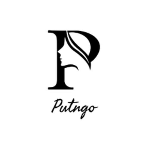 Putngo Logo (EUIPO, 12/28/2023)