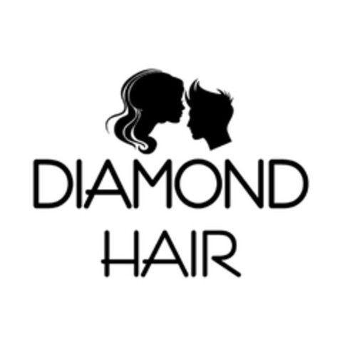 DIAMOND HAIR Logo (EUIPO, 27.12.2024)