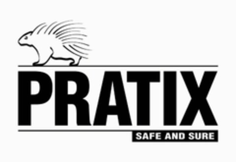 PRATIX safe and sure Logo (EUIPO, 30.05.2007)