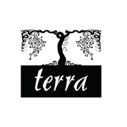 terra Logo (EUIPO, 05/23/2012)