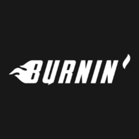 BURNIN Logo (EUIPO, 29.06.2018)