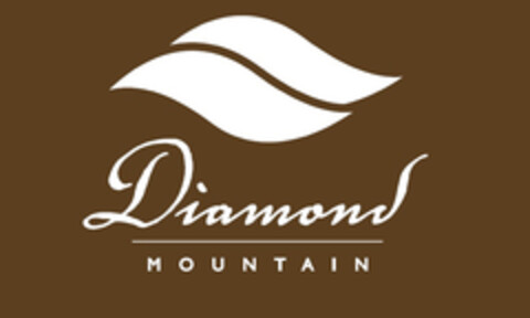 DIAMOND MOUNTAIN Logo (EUIPO, 29.01.2021)