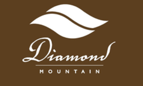 DIAMOND MOUNTAIN Logo (EUIPO, 01/29/2021)