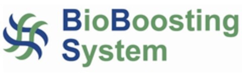 BIOBOOSTING SYSTEM Logo (EUIPO, 15.06.2021)