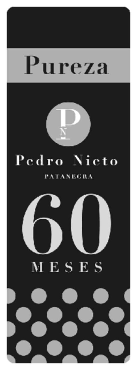 PUREZA PN PEDRO NIETO PATANEGRA 60 MESES Logo (EUIPO, 05/24/2013)