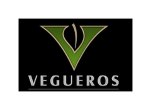 V VEGUEROS Logo (EUIPO, 08.07.2015)