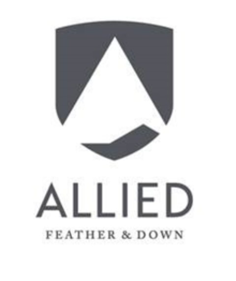 ALLIED Logo (EUIPO, 03/18/2016)