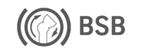 BSB Logo (EUIPO, 30.03.2016)