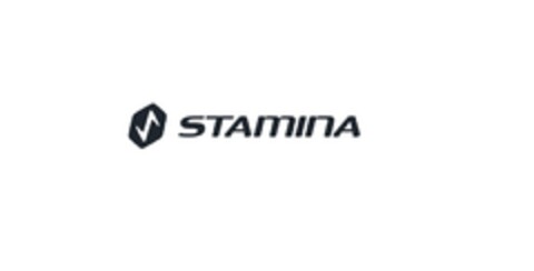 STAMINA Logo (EUIPO, 01/28/2019)