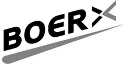 BOERX Logo (EUIPO, 04.06.2024)