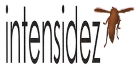 intensidez Logo (EUIPO, 13.06.2006)