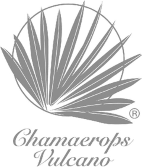 Chamaerops Vulcano Logo (EUIPO, 16.07.2009)